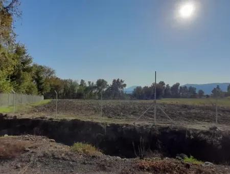 32000M2 Arable Avocados, Greenhouse Construction, Farms, Suitable For Livestock Land In Köyceğinz Döğüşbelen