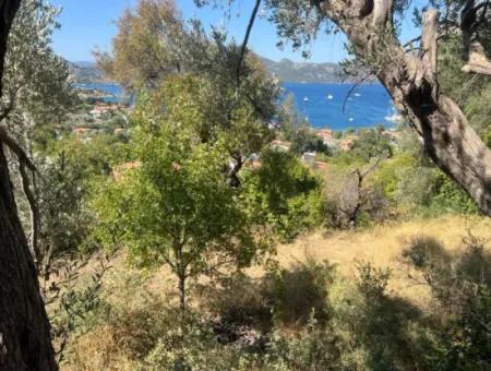 Marmaris Selimiye Mahallesinde Deniz Manzaralı 5200M2 Satılık Arsa 2 Villa Yapımına Yada Otel Yapımına Uygun Gayrimenkul